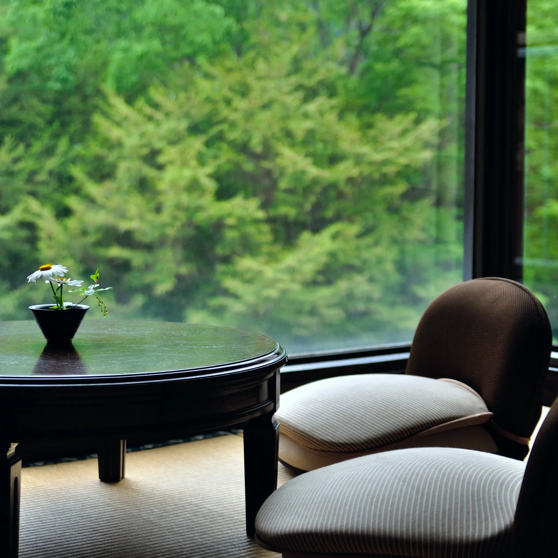 客室イメージ画像