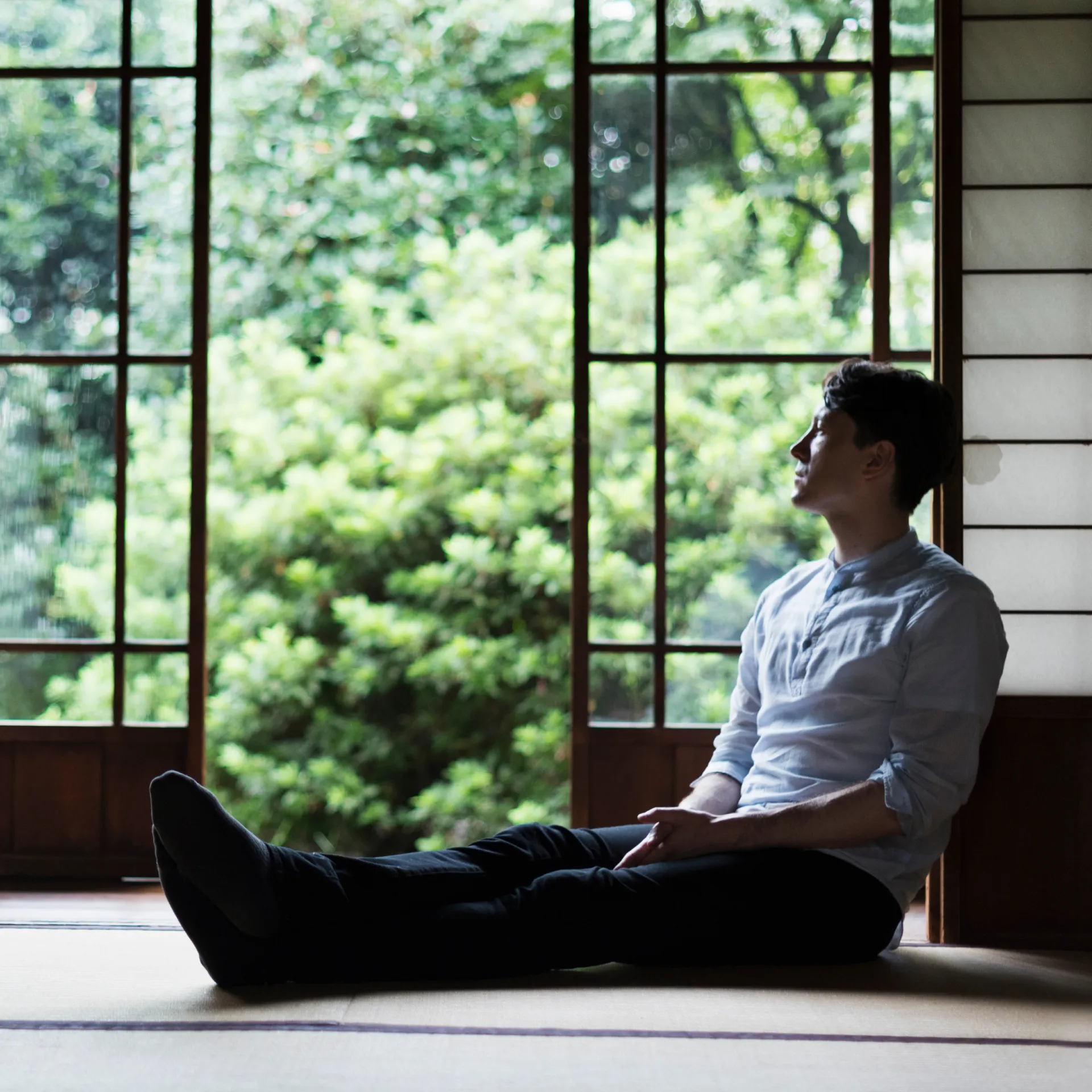 客室イメージ画像