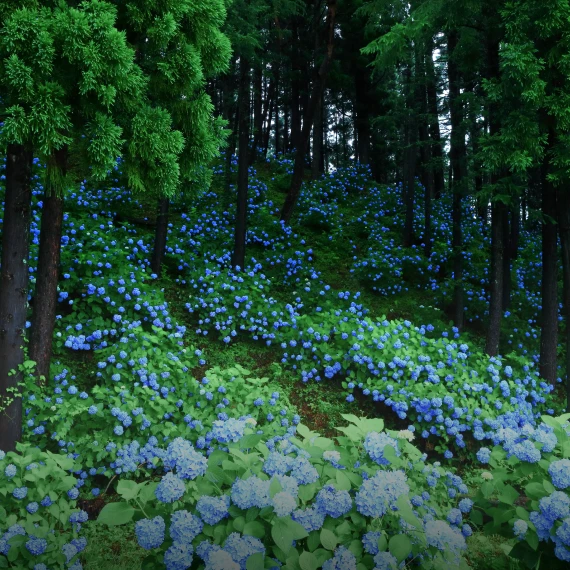 写真：観光スポット2