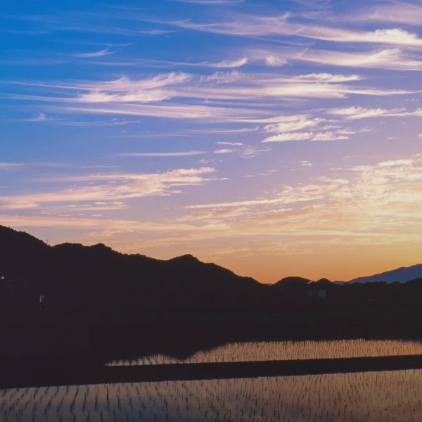 写真：観光スポット3