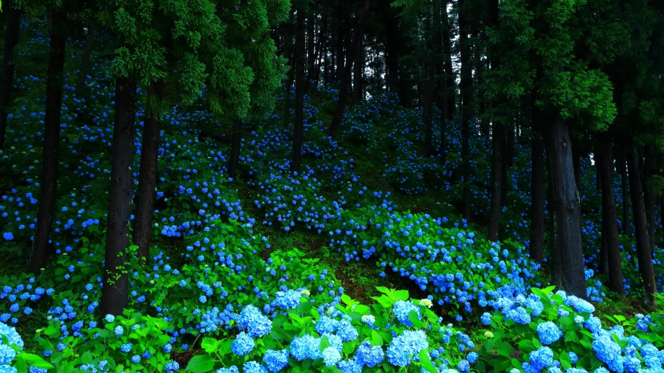 岩手の自然