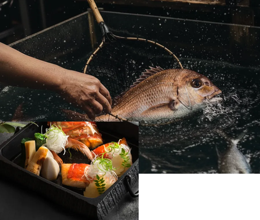 料理のイメージ画像