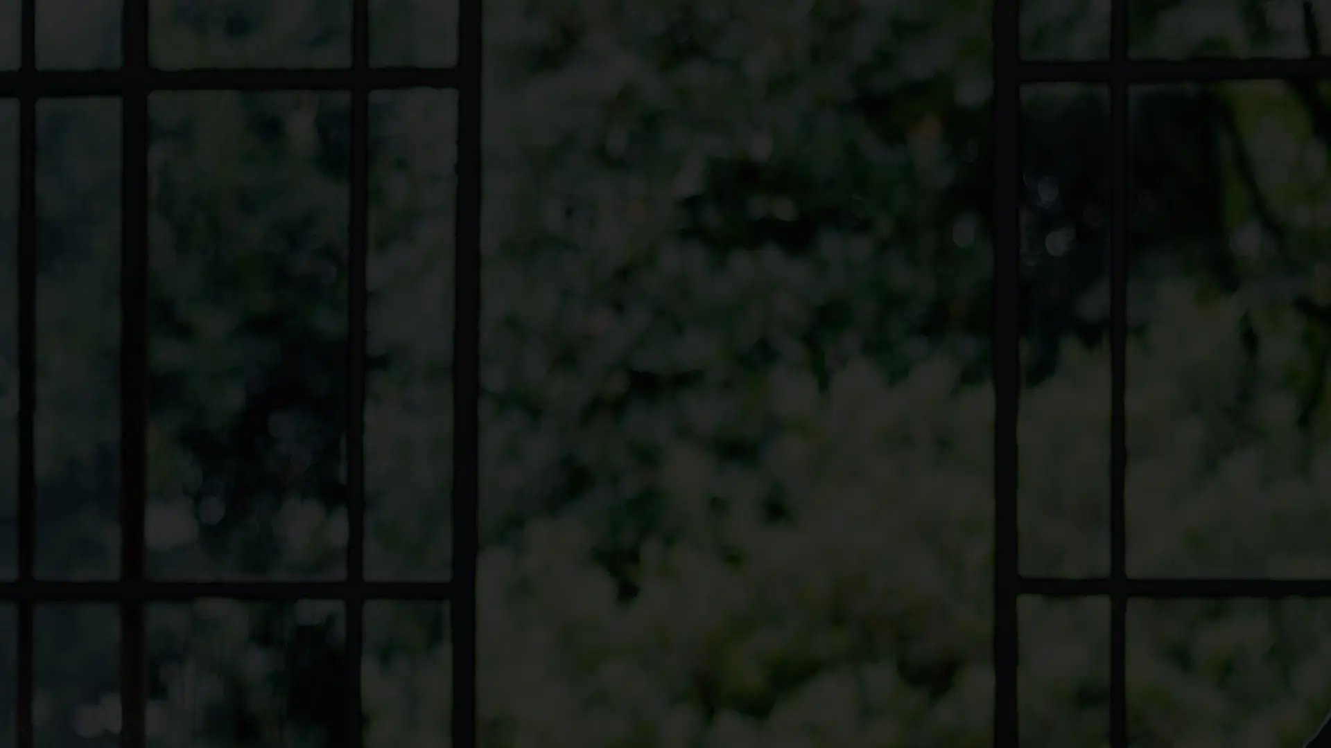 イメージ：庭園の景色